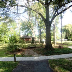 Johnson Park